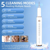 Ultrasonic Electric Teeth Cleaner
